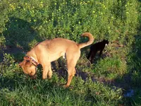 Spaziergang1.webp