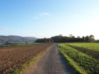 Spaziergang4.webp