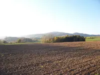 Spaziergang7.webp