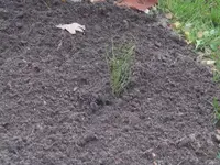 Garten_020_400_300.webp