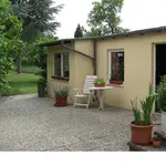 18.05.08 Mauer und Gräser 003_85.webp