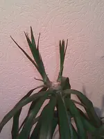 Bild005.webp