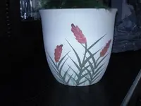 tn_Foto205.webp