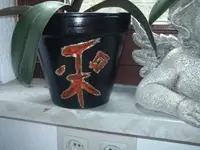 tn_Foto206.webp