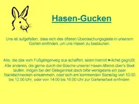 Hasen-Kucken.webp