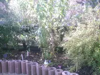 PIC00236.webp