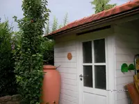 Garten Sommer 2008 016mini.webp
