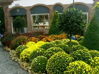 Chrysanthema-2008 002.webp