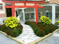 Chrysanthema-2008 018.webp