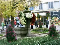 Chrysanthema-2008 031.webp