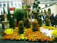 Chrysanthema-2008 037.webp