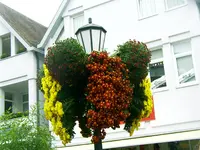 Chrysanthema-2008 039.webp