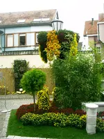 Chrysanthema-2008 042.webp