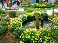 Chrysanthema-2008 053.webp