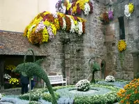 Chrysanthema-2008 060.webp