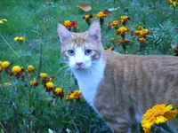 RIMG0039.webp