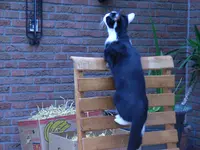 RIMG0067.webp