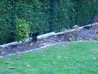RIMG0047.webp