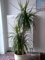 Bild011.webp