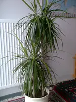 Bild012.webp
