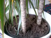 Bild013.webp