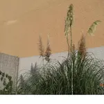 neu 048_A_80.webp