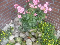 S6301394.webp