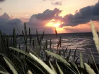 Sonnenuntergand Nordstrand mit Gräsern groß.webp