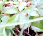 IMG_1986.webp