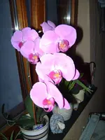 BILD0009.webp