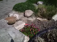 PIC00140.webp