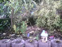 Forsythie.webp
