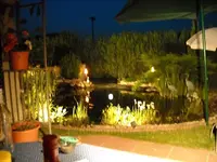 Teichidylle bei Nacht 2008.webp