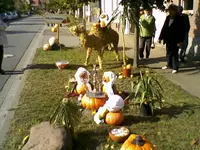 Foto-0038.webp