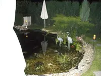 teich 2008-5.webp