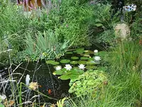 Sommer 2008.webp