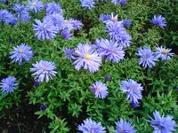 DSC01226.webp
