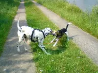 DSC00599_640x480.webp