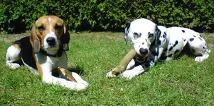 DSC00780_640x319.webp