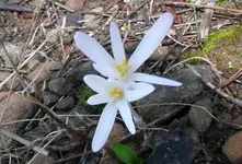 P1020600.webp