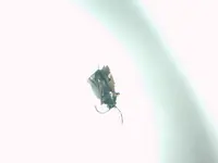 IMAG0155.webp