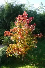 DSC01770.webp