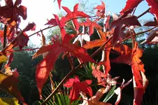 DSC01761.webp