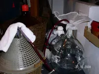 wein2.webp