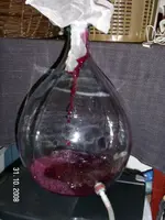 wein3.webp