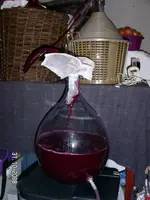 wein5.webp