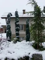 Schnee zypressen.webp