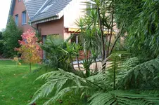 DSC01792.webp
