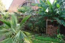 DSC01811.webp