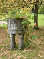 DSCN5054.webp